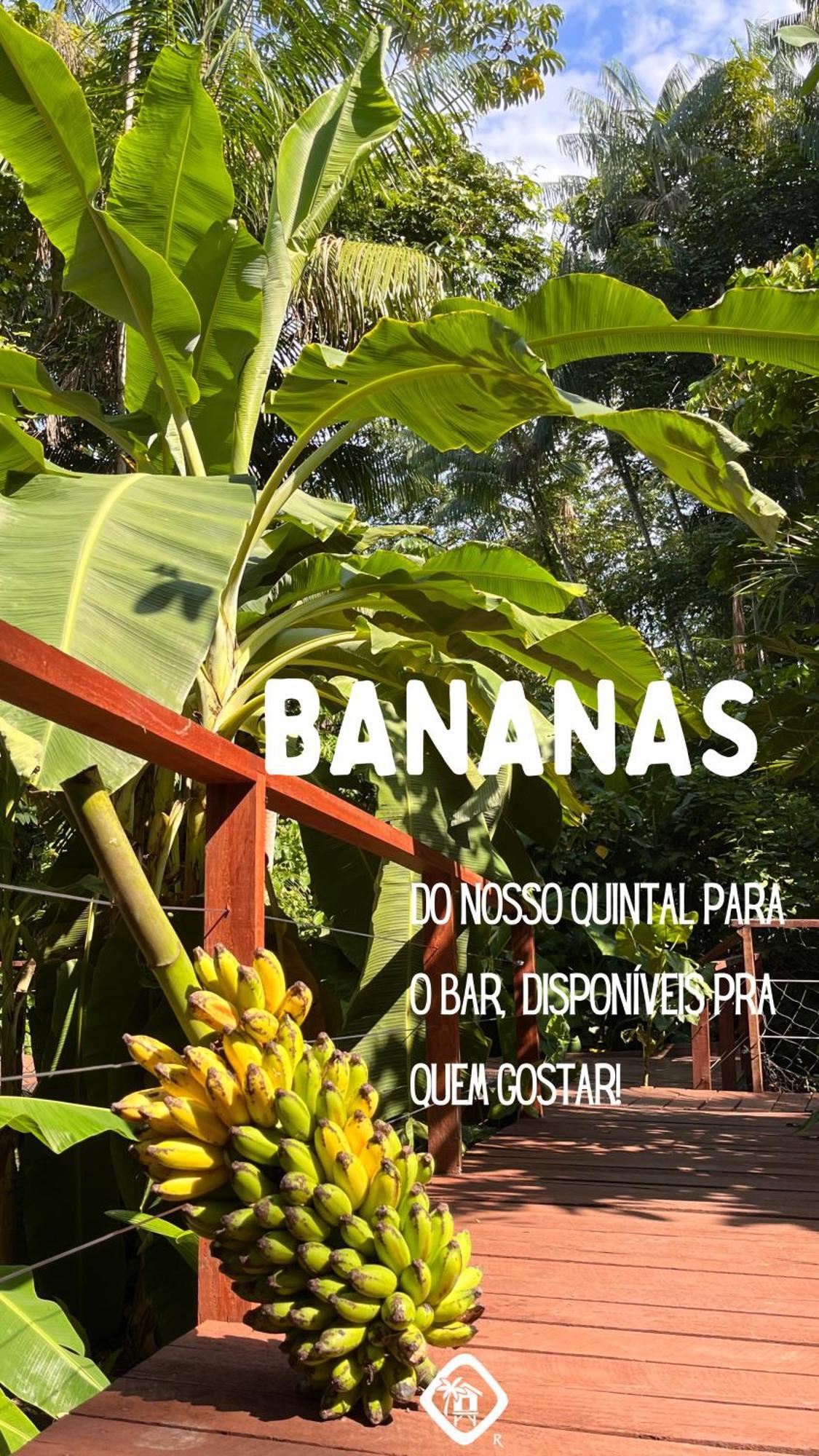 Olaria River Hostel Belem  Luaran gambar