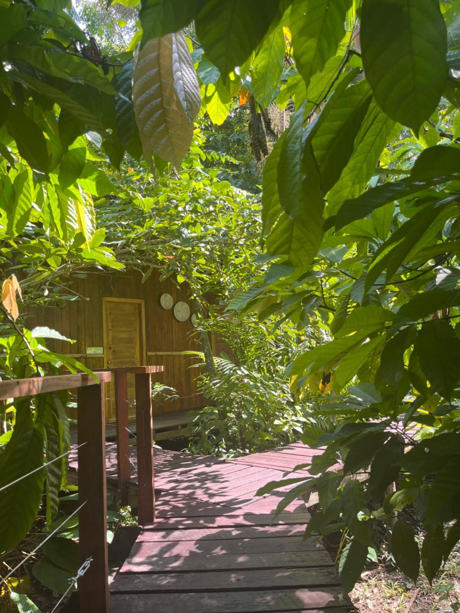 Olaria River Hostel Belem  Luaran gambar