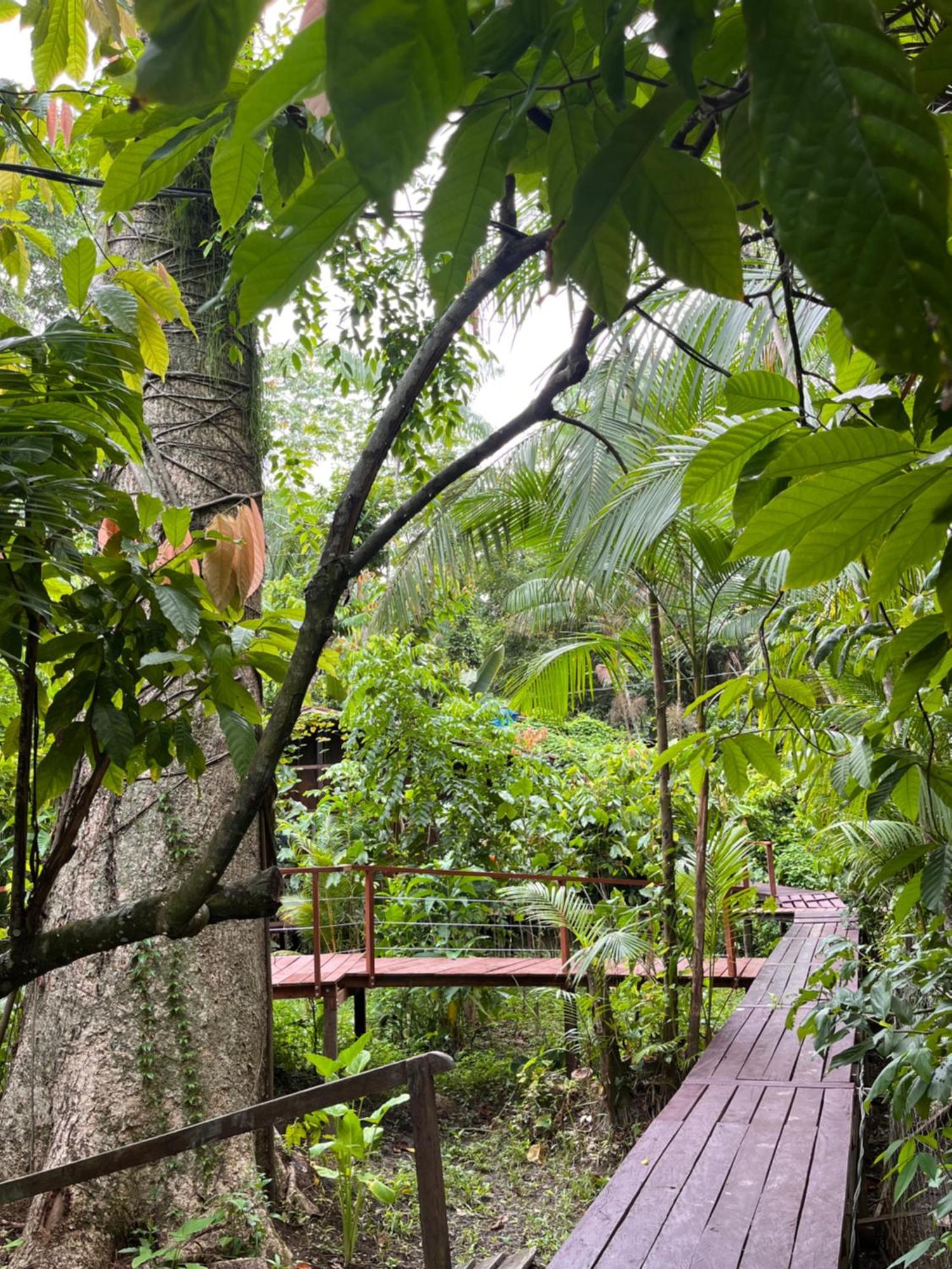 Olaria River Hostel Belem  Luaran gambar