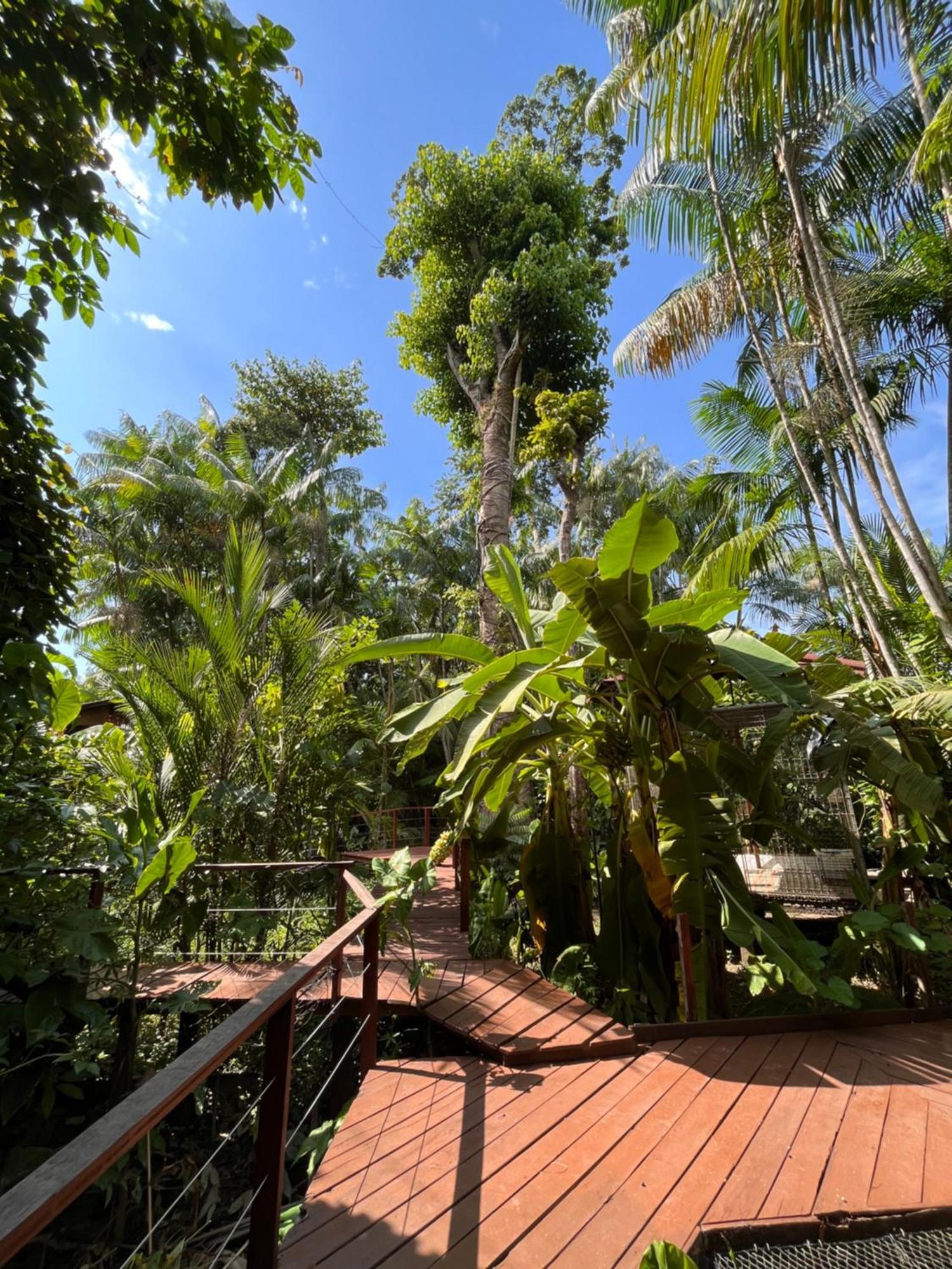 Olaria River Hostel Belem  Luaran gambar